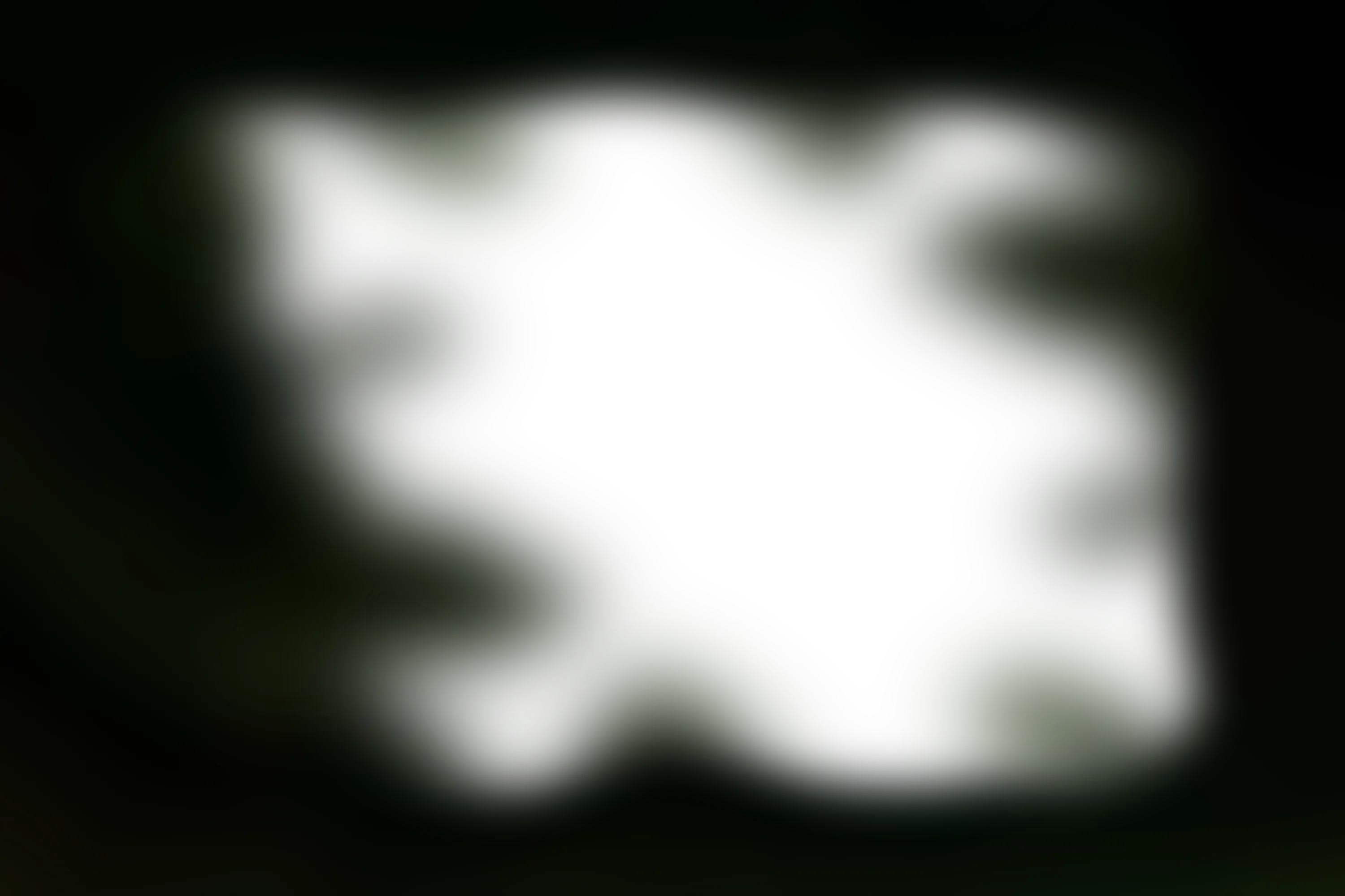 Foreground 4